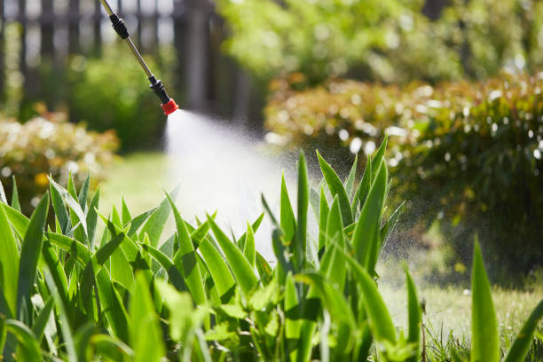 24/7 Emergency Wasp Removal experts in Romney, WV